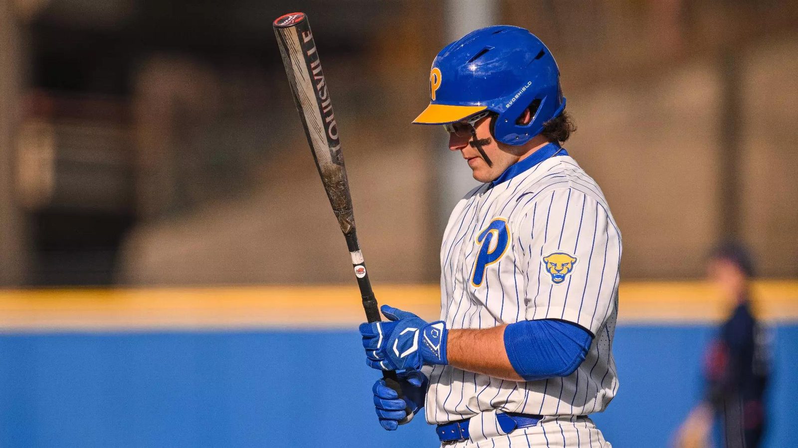 Carter Dierdorf at the plate in a University of Pittsburgh uniform